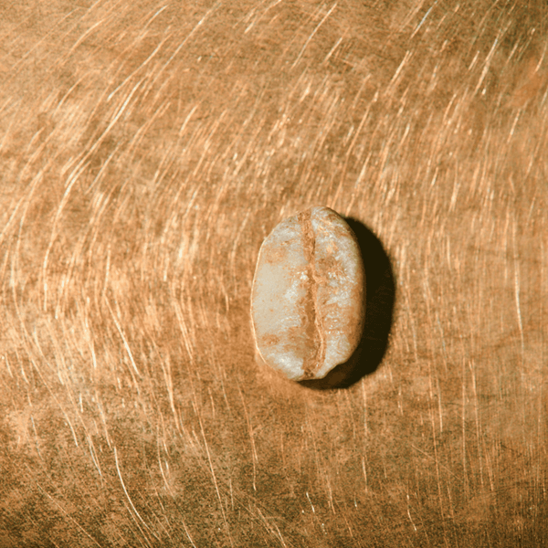 Las Lajas Perla Negra 250G Bohnen 0101CS021025BO